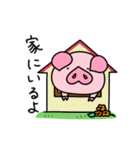 のんびりブタのスタンプ（個別スタンプ：24）