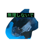写真で使えるスタンプ（個別スタンプ：6）