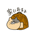 ごまねこ。もっと富山弁（個別スタンプ：6）