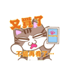 デカ文字カンペ猫-2（個別スタンプ：4）