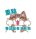 デカ文字カンペ猫-2（個別スタンプ：8）