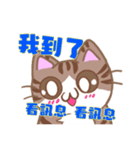 デカ文字カンペ猫-2（個別スタンプ：15）