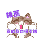 デカ文字カンペ猫-2（個別スタンプ：20）