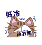 デカ文字カンペ猫-2（個別スタンプ：21）