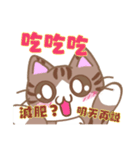 デカ文字カンペ猫-2（個別スタンプ：37）