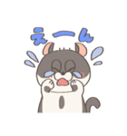 ネコのこまちちゃん（個別スタンプ：12）