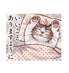 リアルな猫のリアルな日常3（個別スタンプ：32）