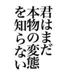 変態系の言葉を、超大きな文字で返信3。（個別スタンプ：13）