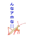 カマキリからツッコミ（個別スタンプ：40）