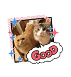 Nana＆June（個別スタンプ：9）