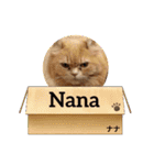 Nana＆June（個別スタンプ：31）
