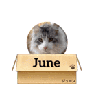 Nana＆June（個別スタンプ：32）