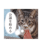 見習う自粛生活⑥（個別スタンプ：2）
