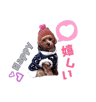 Beeと栄子の一言スタンプ♡❤︎（個別スタンプ：2）