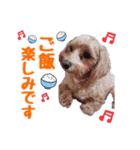Beeと栄子の一言スタンプ♡❤︎（個別スタンプ：3）
