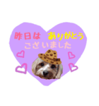 Beeと栄子の一言スタンプ♡❤︎（個別スタンプ：4）
