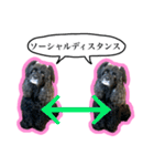 アメコカのリブ3（個別スタンプ：2）