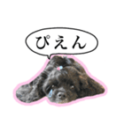 アメコカのリブ3（個別スタンプ：6）