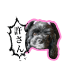 アメコカのリブ3（個別スタンプ：7）