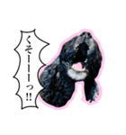 アメコカのリブ3（個別スタンプ：8）