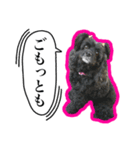 アメコカのリブ3（個別スタンプ：9）