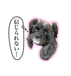 アメコカのリブ3（個別スタンプ：10）