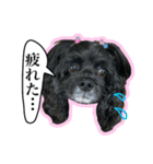 アメコカのリブ3（個別スタンプ：12）