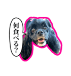 アメコカのリブ3（個別スタンプ：15）