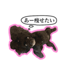 アメコカのリブ3（個別スタンプ：21）