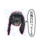 アメコカのリブ3（個別スタンプ：22）