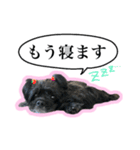 アメコカのリブ3（個別スタンプ：24）