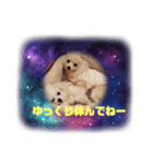 LUNA＆SEAちゃんワンワンメッセージ！！（個別スタンプ：4）