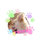 LUNA＆SEAちゃんワンワンメッセージ！！（個別スタンプ：7）