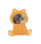 ニャー助☆（個別スタンプ：12）