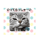ニャー助☆（個別スタンプ：16）