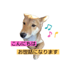 キャン2021ver.（個別スタンプ：6）