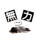 喜怒哀楽娘4（個別スタンプ：24）