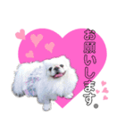 uzu mow ♪（個別スタンプ：7）