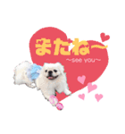 uzu mow ♪（個別スタンプ：10）