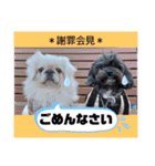 uzu mow ♪（個別スタンプ：11）