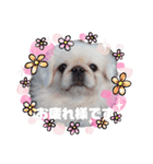 uzu mow ♪（個別スタンプ：12）