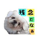 uzu mow ♪（個別スタンプ：14）