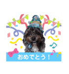 uzu mow ♪（個別スタンプ：15）