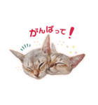 ルナ＆メイの日常スタンプ【2】（個別スタンプ：10）