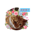 ぷるぷるプリン（個別スタンプ：2）
