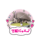 ぷるぷるプリン（個別スタンプ：7）