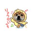 柴犬こうめスタンプ 総集編（個別スタンプ：17）