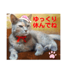 赤いりぼんの仲間達3（個別スタンプ：4）