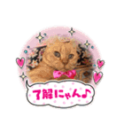 赤いりぼんの仲間達3（個別スタンプ：6）