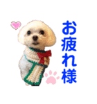 赤いりぼんの仲間達3（個別スタンプ：10）
